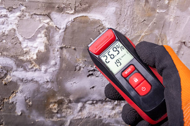 Best Black Mold Removal  in Lakemore, OH