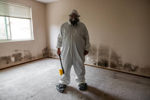 Best Toxic Mold Removal  in Lakemore, OH